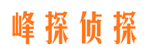 高阳侦探公司